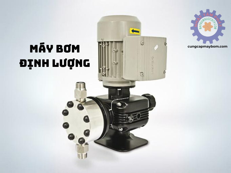 Cách xử lý nước bơm định lượng bị tắt